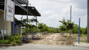 ban tin bat dong san chieu ngay 117 sap mo ban can ho thuong mai ecohome 3