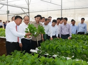 nhieu bat dong san duoc ban dau gia nghin ty ve tay ngan hang