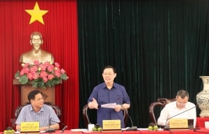 ai se giai cuu khach san nam sao cendeluxe cua ctcp thuan thao