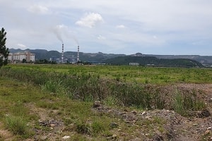 gioi dau co rut quan ve bac dat nen da nang bay hoi hang tram ty dong