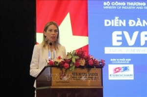 giam thieu rui ro cho doanh nghiep