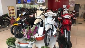 cap nhat bang gia xe o to audi moi nhat thang 82019