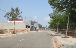 can ho mau hong dep khong goc chet
