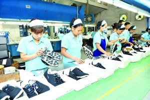 can can thuong mai cua viet nam hien ra sao