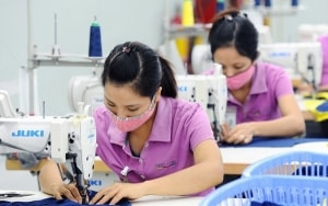 cam cua may moc trang thiet bi cu lac hau vao viet nam