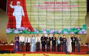 hiep thuong cu 374 vi tham gia uy ban trung uong mat tran to quoc viet nam khoa ix