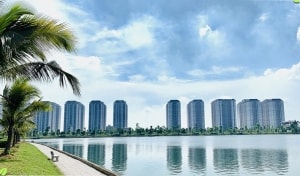 mau thiet ke khong gian xanh cho van phong lam viec