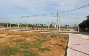 tap doan amata muon xay them du an 1000 ha tai long thanh dong nai