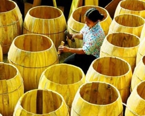 viet nam dung dau the gioi ve toc do tang truong nang luc canh tranh