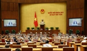 tuan lam viec thu nam quoc hoi tap trung cho cong tac xay dung phap luat