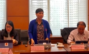 viet nam coi trong quan he doi tac chien luoc sau rong voi nhat ban