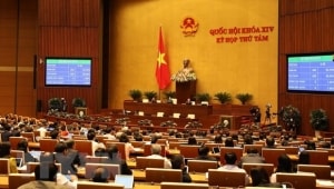 ky hop thu 8 ngay 2111 quoc hoi thao luan hai du an luat