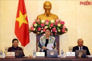 thong qua nghi quyet sap xep don vi hanh chinh cap huyen xa o 8 tinh
