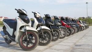 dong nai kiem soat nan dau co tich dat long thanh nhon trach