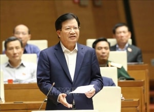 bo tri 300 ty cho du an cang lien chieu da nang
