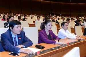 2019 co the la nam thu 4 xuat sieu lien tiep cua viet nam