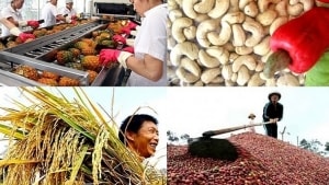 2019 co the la nam thu 4 xuat sieu lien tiep cua viet nam
