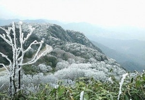 du bao thoi tiet dem 08 va ngay 0912 vung nui cao bac bo co bang gia va suong muoi