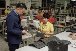 doanh nghiep det may co goc fdi at via doanh nghiep noi