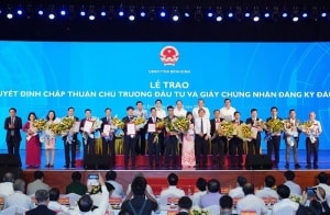 dien gio viet nam va nhung nguon luc dang de trong