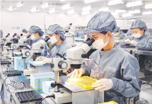 adb nang du bao tang truong kinh te viet nam nam 2019