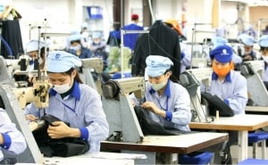 nam thu tu lien tiep xuat khau can moc ky luc