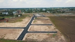 hieu ung cocobay va tam li bi dong cua nha dau tu