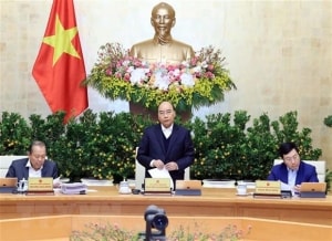 nang suat lao dong diem song con voi doanh nghiep viet