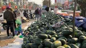 bo truong bo cong thuong kha nang evfta co hieu luc ngay trong nam 2020