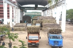 thu tuong nha nuoc khong bao cap cho nganh mia duong