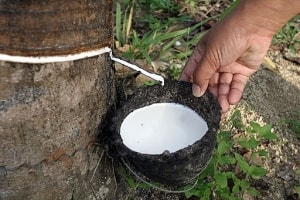 vi pham cong bo thong tin loat to chuc ca nhan bi phat tong cong hon 160 trieu dong