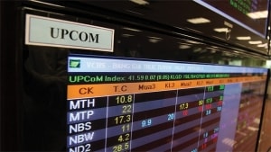 loi nhuan nam 2019 tang manh an phat holdings nop ho so niem yet len hose