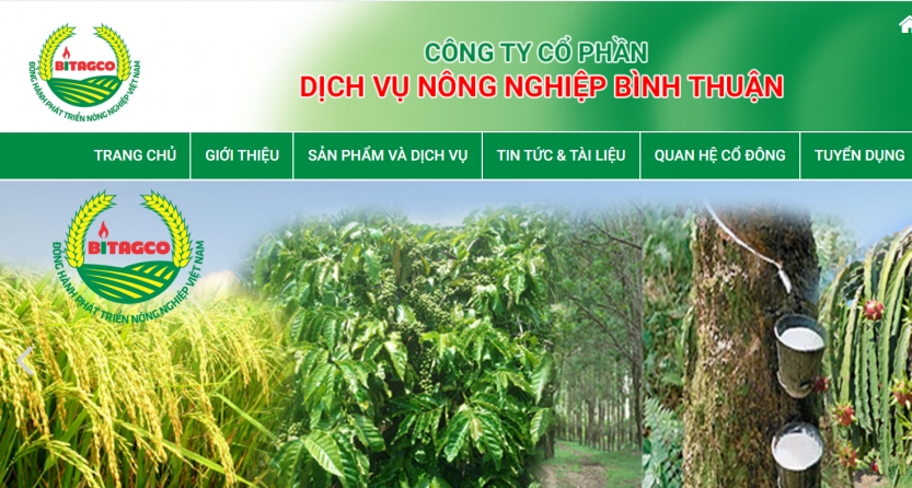 co phieu abs cua bitagco tang kich tran trong ngay chao san hose