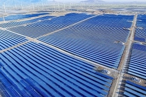 dien luc tphcm van dong huong ung gio trai dat 2020
