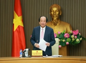 dam bao tien do va chat luong xay dung chinh phu dien tu