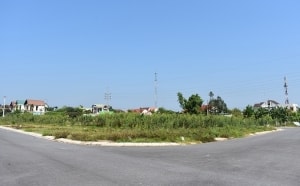 mot doanh nghiep trung dau gia 105 lo dat o tai tu son bac ninh
