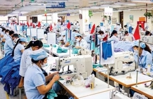 co phieu tam diem ngay 185 vcb pvd hdg plc ntc
