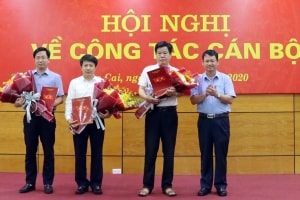 dieu dong bo nhiem can bo tai mot so dia phuong