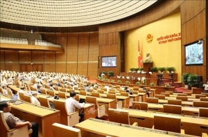 nam 2020 quoc hoi se thong qua 16 luat