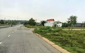 ha noi dong y thanh lap mo hinh cho dem me tri va xay dung trung tam thuong mai ngam