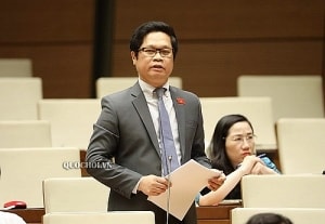 evfta ke hoach chuan bi thuc thi nam 2020 va cac nam tiep theo