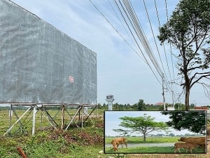 ban tin bat dong san ngay 275 nan xam lan dat vuon quoc gia phu quoc