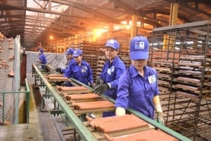 nhom ngan hang tra co tuc nam 2019 ra sao