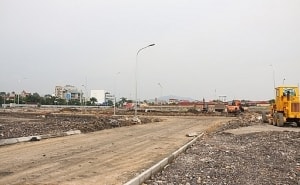 hon 22 trieu co phieu hsg sap roi tay cac co dong cua hoa sen