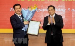 ong ngo dong hai duoc bau lam bi thu tinh uy thai binh
