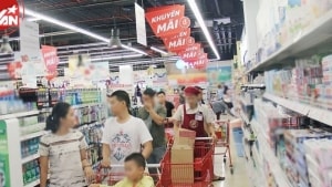 tphcm dieu chinh quy hoach khu dat vang trung tam