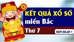 truc tiep ket qua qua xo so mien bac hom nay ngay 462020 xsmb thu 5 kq xsmb
