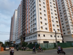 co phieu hqc tiep tuc tang tran sang ngay 56 3 nam khong chia co tuc