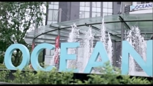 ocean group muon thay doi ten va tru so voi ky vong vuot kho khan