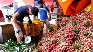tranh kich ban duoc mua mat gia nhieu sieu thi ho tro dau ra cho vai thieu